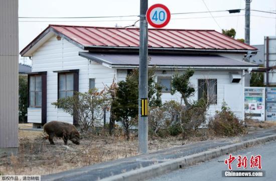 担忧核辐射 调查称亚洲比欧美更不放心福岛食品