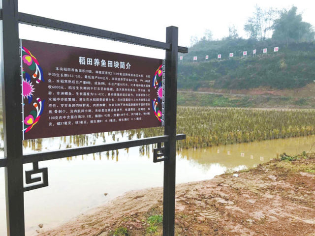 华西村人均收入_华西村2017年人均收入(3)