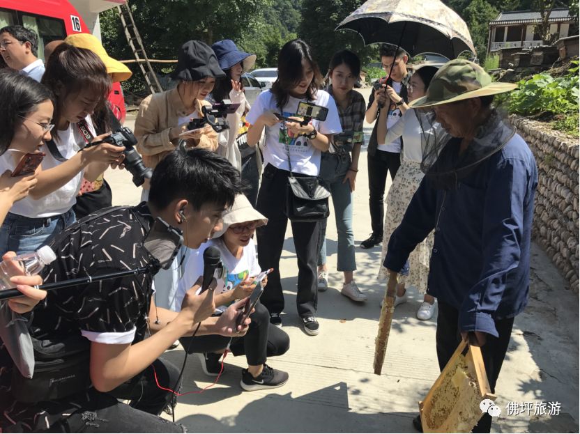 主播带你游佛坪”活动圆满结束 网络主播助力文旅扶贫