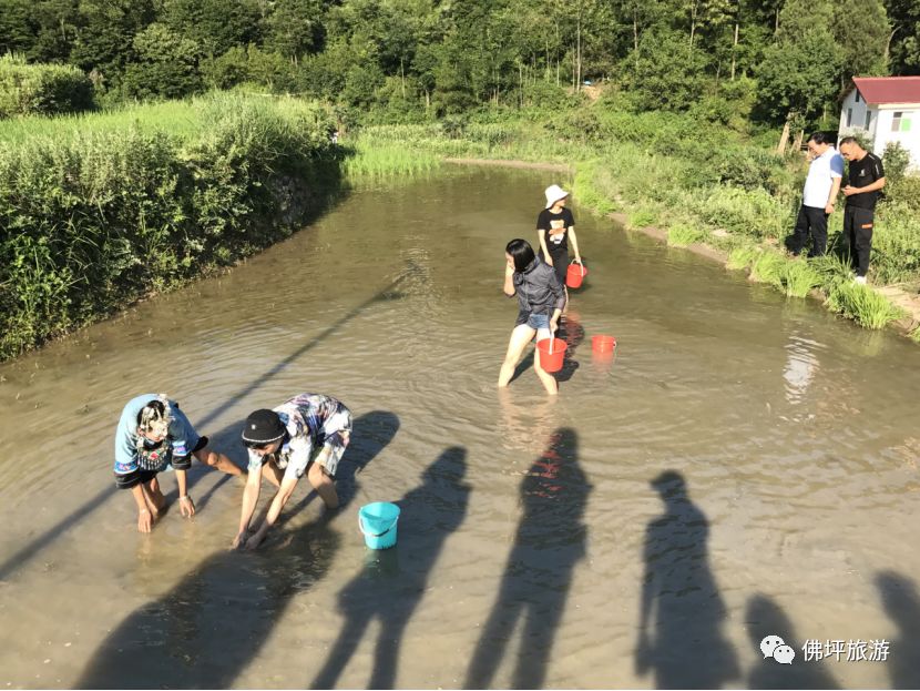 主播带你游佛坪”活动圆满结束 网络主播助力文旅扶贫