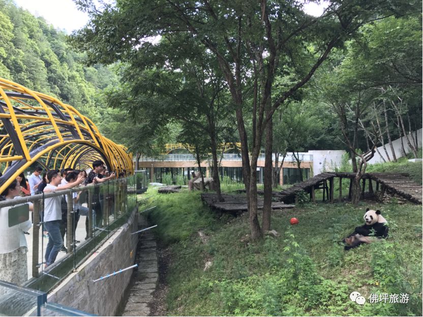 主播带你游佛坪”活动圆满结束 网络主播助力文旅扶贫