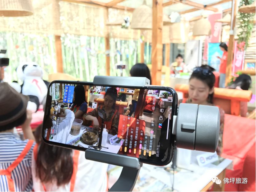 主播带你游佛坪”活动圆满结束 网络主播助力文旅扶贫