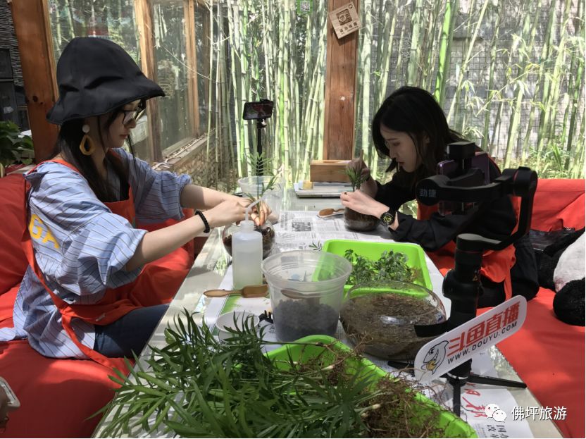 主播带你游佛坪”活动圆满结束 网络主播助力文旅扶贫