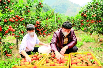 广西：打好“组合拳” 壮大“新动能”