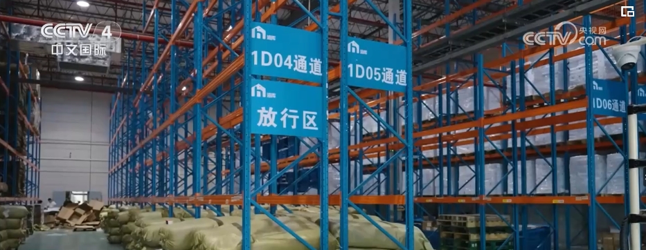 “买卖全球”更畅通！跨境物流提质升级 助力中国品牌顺利“出海”米乐 M6米乐(图5)