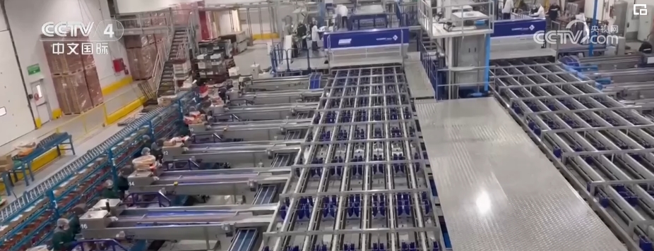 “买卖全球”更畅通！跨境物流提质升级 助力中国品牌顺利“出海”米乐 M6米乐(图9)