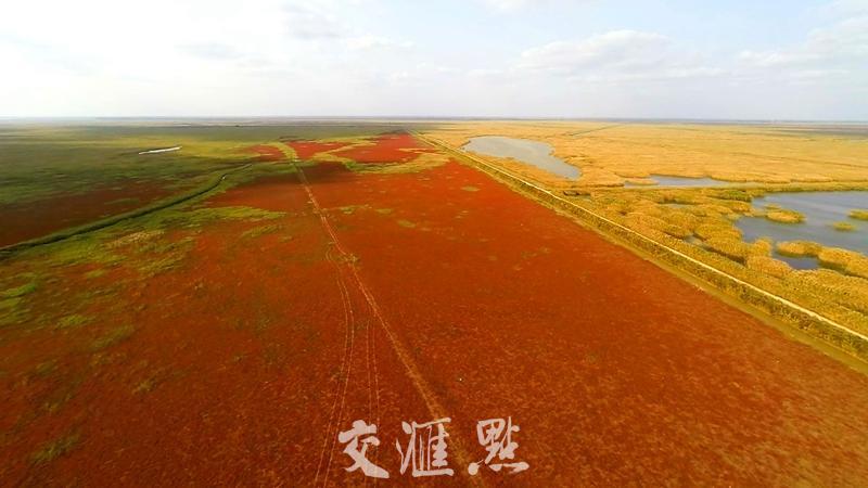 盐城:陆海联动绿色发展闯新路