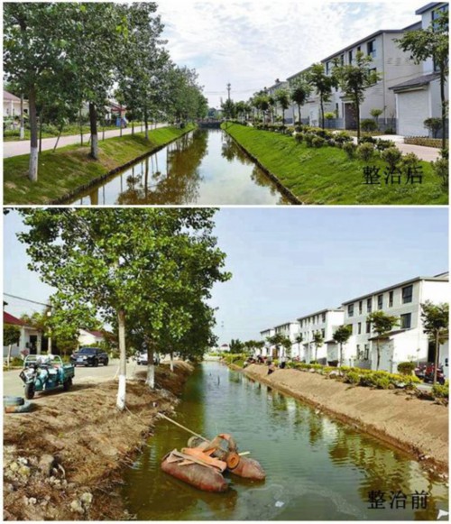 【践行嘱托开新局】悠悠碧水绕村郭!盐城村庄河塘蝶变展新颜