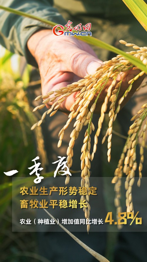 GDP同比增长4.8% 一季度多项重磅数据公布!