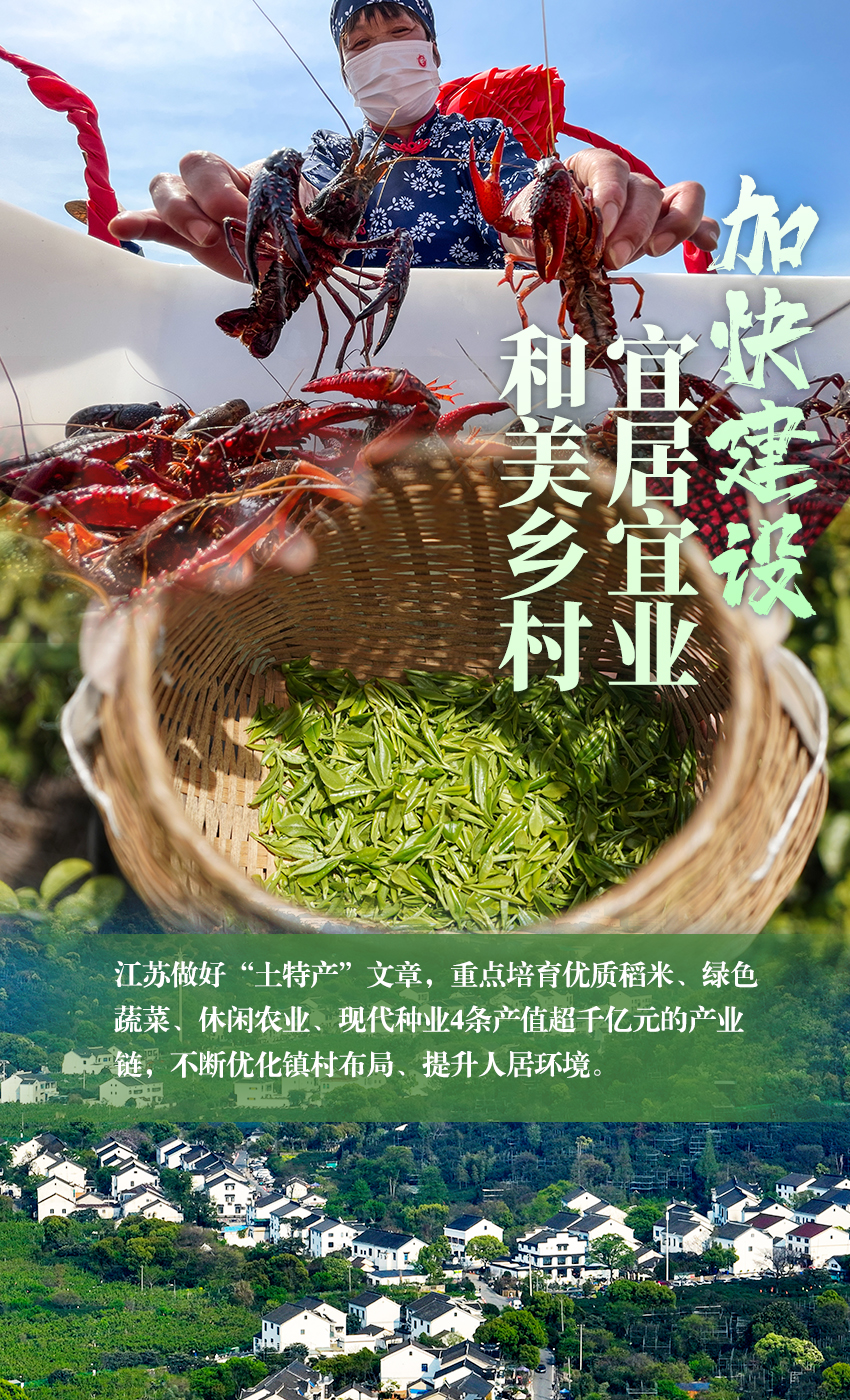 宿迁人口_数据发布-宿迁市人民zf(2)