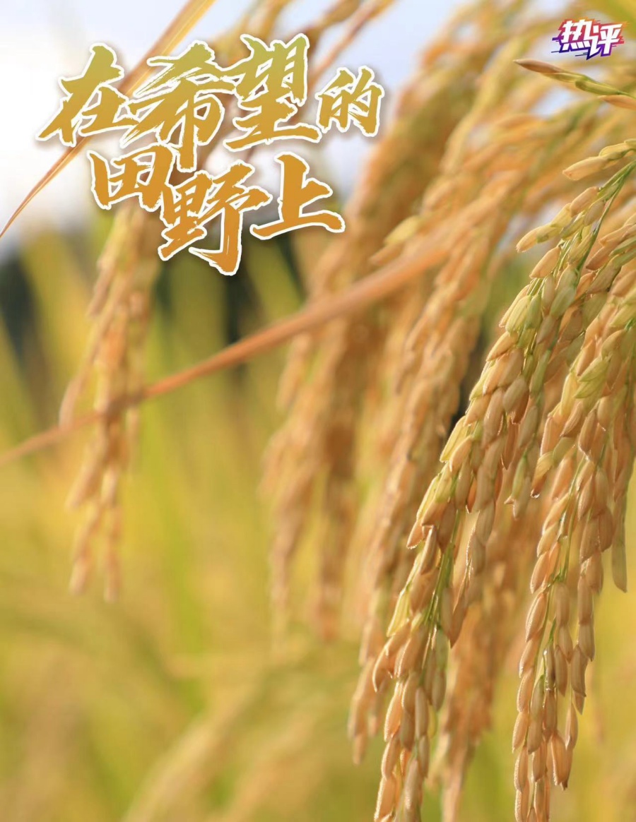 五常数据恢复