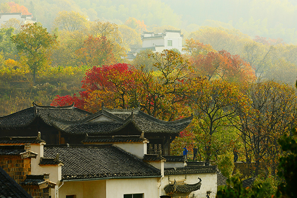 皖南塔川——走進畫裡鄉村