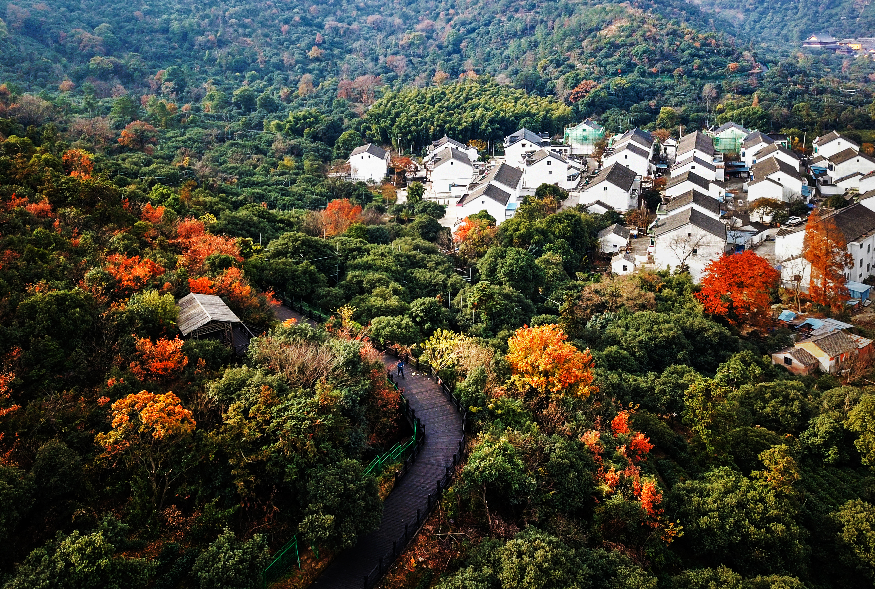 百村调研行丨苏州高新区树山村:蝶变,在驻村规划师到来之后